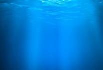 Мировой океан – величайшая загадка планеты Неизведанные глубины океана
